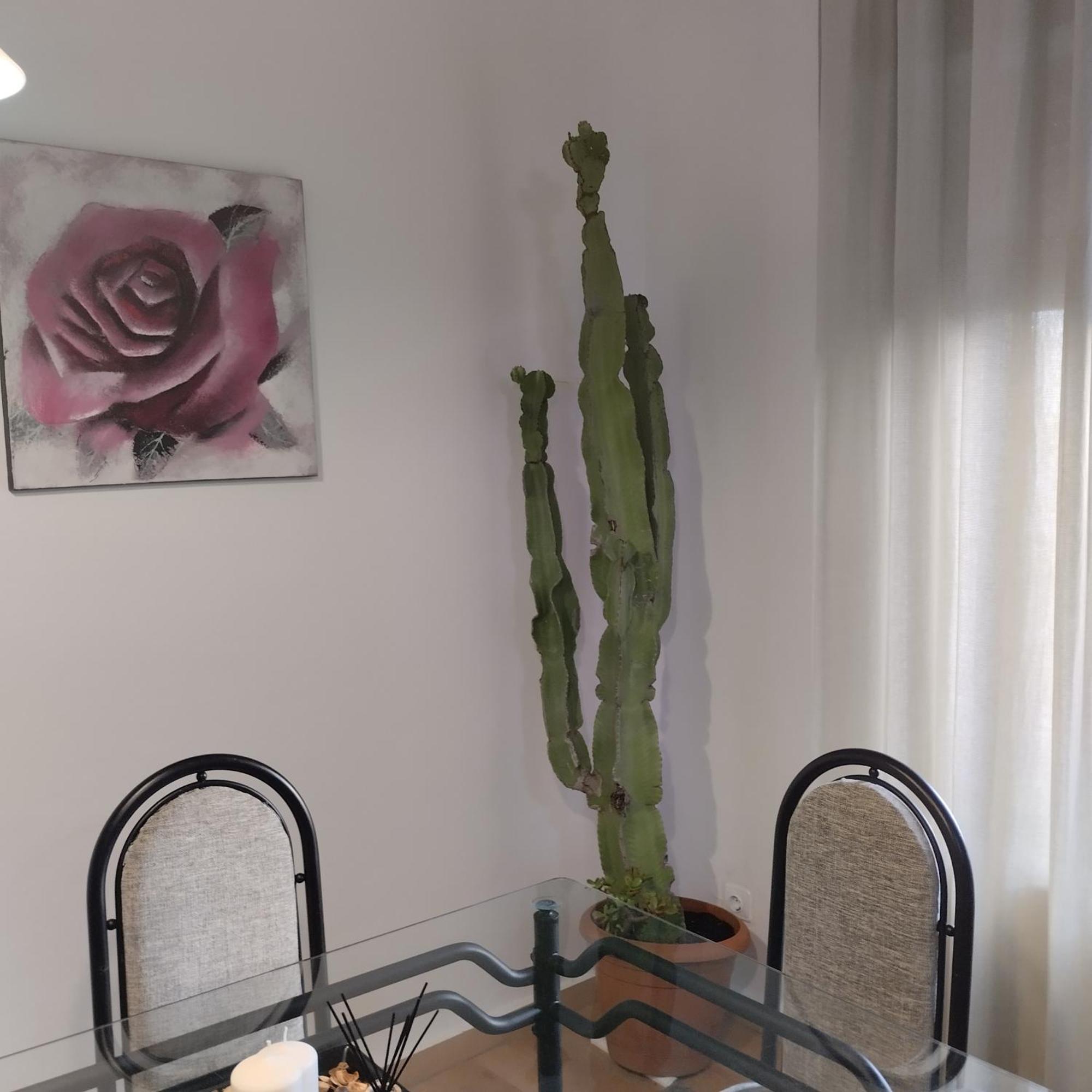 Apartamento Esperanza De La Yedra Херес де ла Фронтера Екстериор снимка
